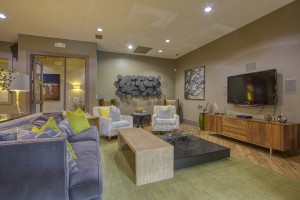 1 Bedroom Apartments in San Antonio, TX - Clubhouse (3) 